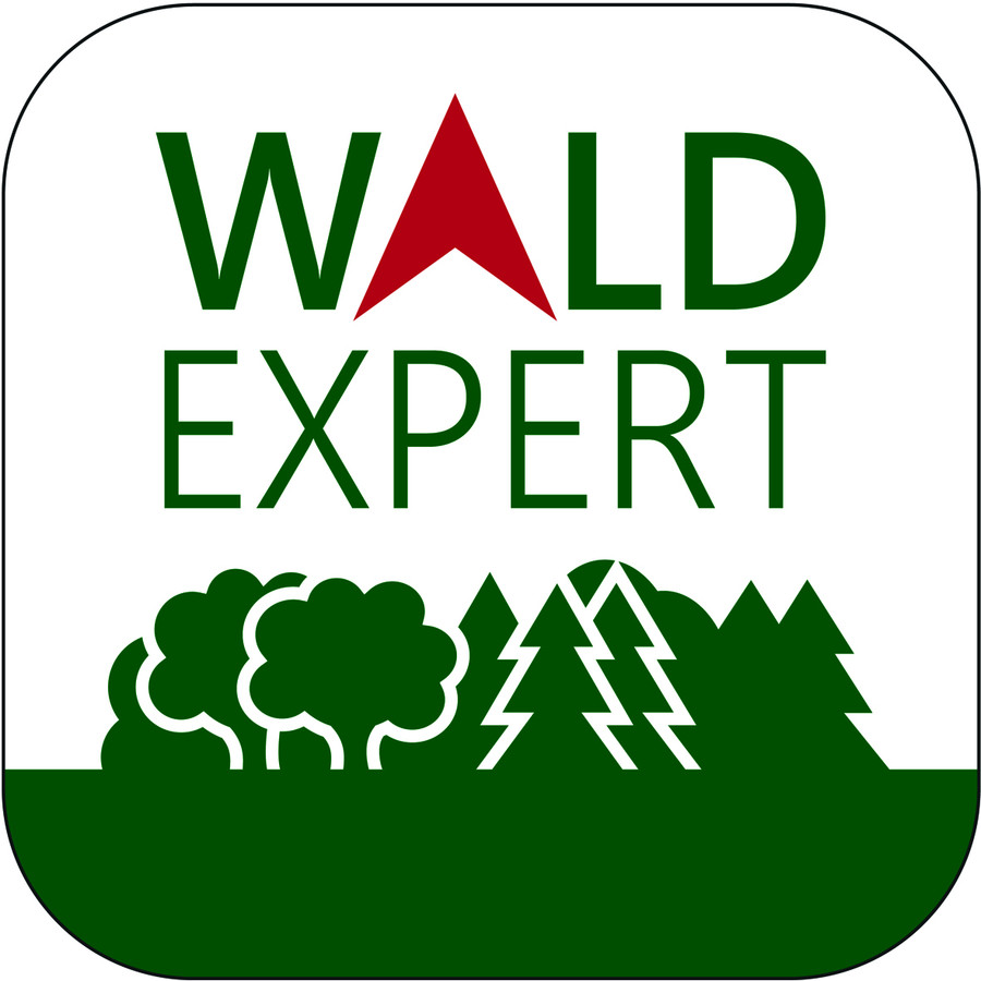 Logo WaldExpert